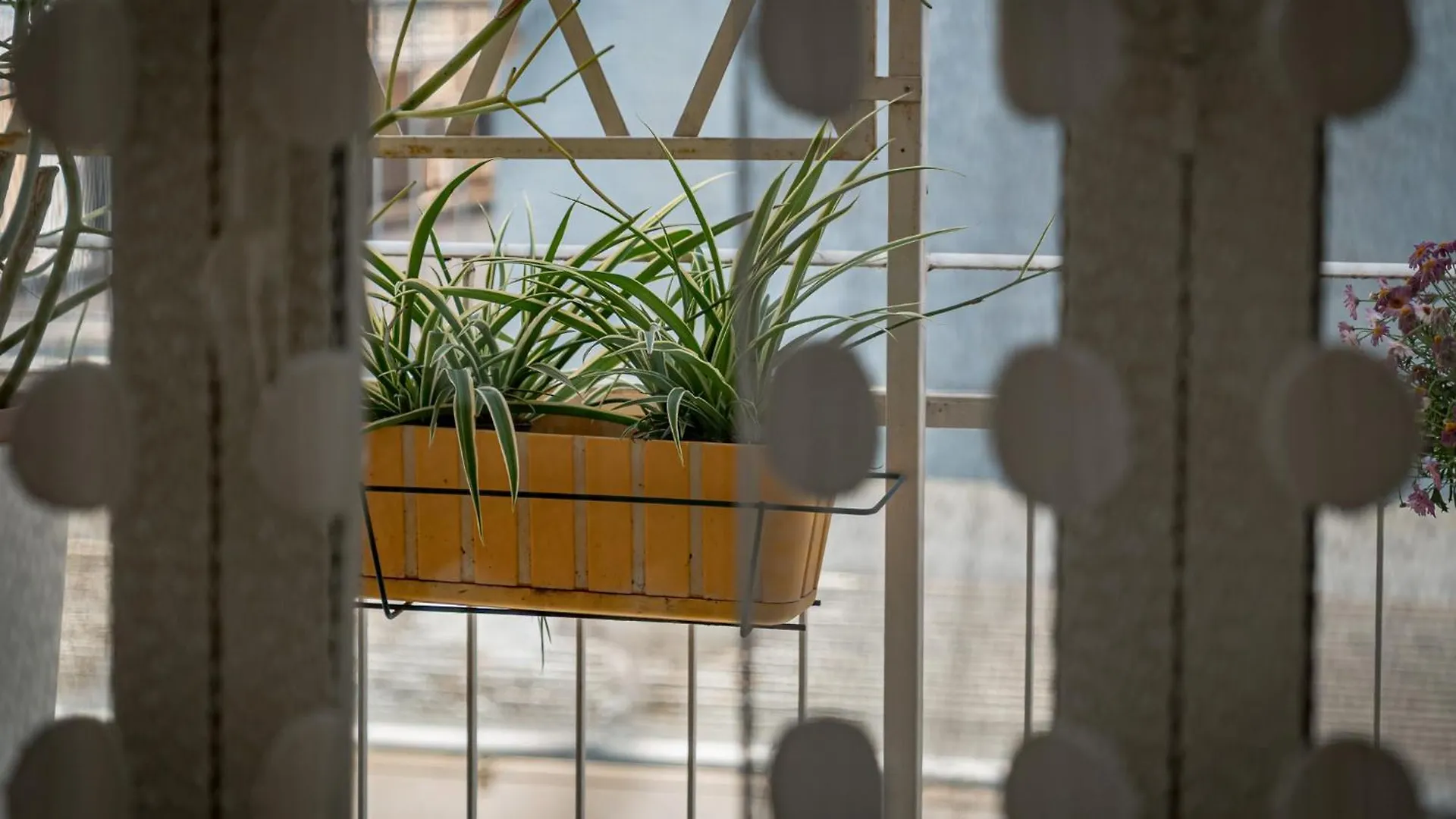 Apartamento Cangiano House By Sicily In Home Catania Italia