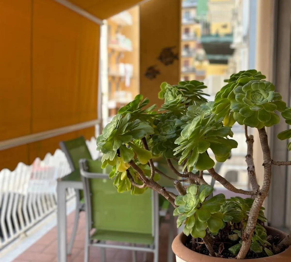 Cangiano House By Sicily In Home Catania Italia